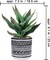 Set of 3 Small Potted Artificial Succulents – Faux Mini Succulent Arrangement in Black & White Geometric Concrete Pots for Modern Home, Office, Windowsill & Table Decor